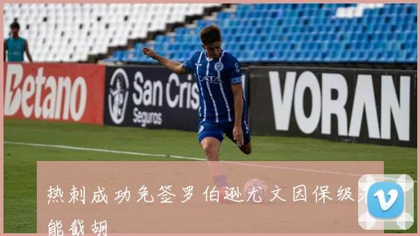 热刺成功免签罗伯逊尤文因保级未能截胡