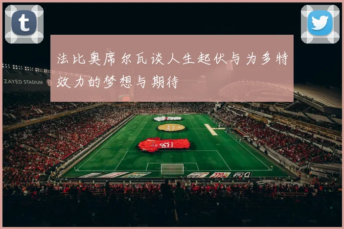 法比奥席尔瓦谈人生起伏与为多特效力的梦想与期待
